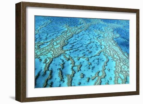 Australia Great Barrier Reef Hardy Reef-null-Framed Photographic Print