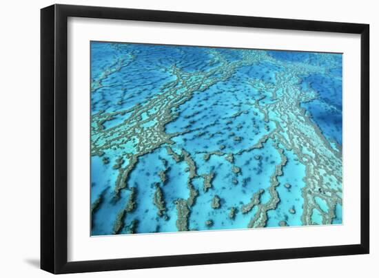 Australia Great Barrier Reef Hardy Reef-null-Framed Photographic Print