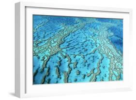 Australia Great Barrier Reef Hardy Reef-null-Framed Photographic Print