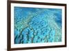 Australia Great Barrier Reef Hardy Reef-null-Framed Photographic Print