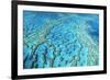 Australia Great Barrier Reef Hardy Reef-null-Framed Photographic Print