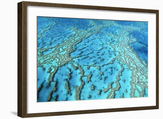 Australia Great Barrier Reef Hardy Reef-null-Framed Photographic Print