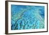 Australia Great Barrier Reef Hardy Reef-null-Framed Photographic Print