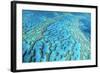 Australia Great Barrier Reef Hardy Reef-null-Framed Photographic Print