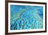 Australia Great Barrier Reef Hardy Reef-null-Framed Photographic Print