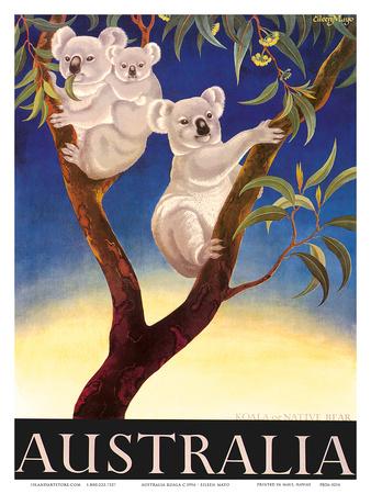 https://imgc.allpostersimages.com/img/posters/australia-koala-c-1956_u-L-F5E0ZE0.jpg?artPerspective=n