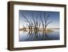 Australia, Murray River Valley, Barmera, Lake Bonney, Petrified Trees-Walter Bibikow-Framed Photographic Print