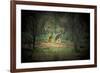 Australia, New South Wales, Broken Hill. a Red and Grey Kangaroo-Rona Schwarz-Framed Photographic Print