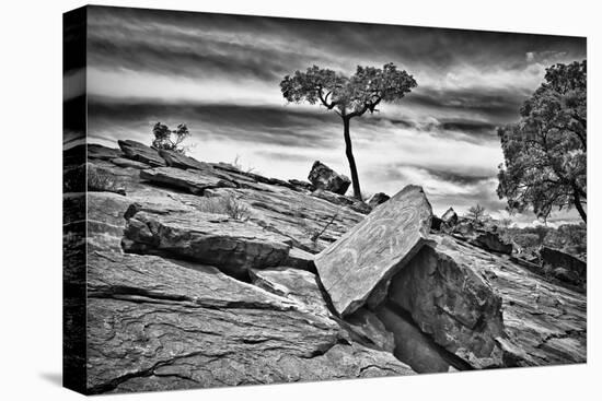 Australia, New South Wales, Outback, Mutawintji National Park-Rona Schwarz-Stretched Canvas