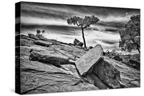 Australia, New South Wales, Outback, Mutawintji National Park-Rona Schwarz-Stretched Canvas