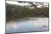 Australia, New South Wales, Sydney. Kayakers on peaceful Georges River-Trish Drury-Mounted Photographic Print