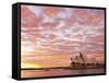 Australia, New South Wales, Sydney, Sydney Opera House, Boat in Harbour at Sunrise-Shaun Egan-Framed Stretched Canvas