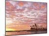 Australia, New South Wales, Sydney, Sydney Opera House, Boat in Harbour at Sunrise-Shaun Egan-Mounted Photographic Print