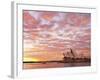 Australia, New South Wales, Sydney, Sydney Opera House, Boat in Harbour at Sunrise-Shaun Egan-Framed Photographic Print