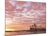 Australia, New South Wales, Sydney, Sydney Opera House, Boat in Harbour at Sunrise-Shaun Egan-Mounted Photographic Print