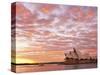 Australia, New South Wales, Sydney, Sydney Opera House, Boat in Harbour at Sunrise-Shaun Egan-Stretched Canvas
