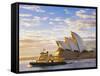 Australia, New South Wales, Sydney, Sydney Opera House, Boat Infront of Opera House-Shaun Egan-Framed Stretched Canvas