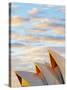 Australia, New South Wales, Sydney, Sydney Opera House, Close-Up at Sunrise-Shaun Egan-Stretched Canvas