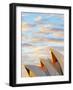 Australia, New South Wales, Sydney, Sydney Opera House, Close-Up at Sunrise-Shaun Egan-Framed Photographic Print