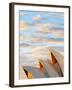 Australia, New South Wales, Sydney, Sydney Opera House, Close-Up at Sunrise-Shaun Egan-Framed Photographic Print