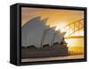Australia, New South Wales, Sydney, Sydney Opera House,-Shaun Egan-Framed Stretched Canvas