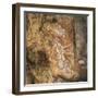 Australia, Northern Territory, Arnhem Land, Kakadu National Park-null-Framed Giclee Print