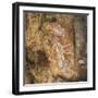 Australia, Northern Territory, Arnhem Land, Kakadu National Park-null-Framed Giclee Print