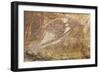 Australia, Northern Territory, Arnhem Land, Kakadu National Park-null-Framed Giclee Print