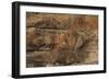 Australia, Northern Territory, Arnhem Land, Kakadu National Park-null-Framed Giclee Print