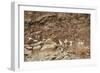 Australia, Northern Territory, Iwlipataka Reserve, Rock Paintings-null-Framed Giclee Print