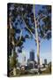 Australia, Perth, City Skyline from Kings Park, Late Afternoon-Walter Bibikow-Stretched Canvas