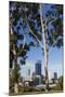 Australia, Perth, City Skyline from Kings Park, Late Afternoon-Walter Bibikow-Mounted Photographic Print