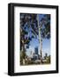 Australia, Perth, City Skyline from Kings Park, Late Afternoon-Walter Bibikow-Framed Photographic Print