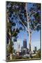 Australia, Perth, City Skyline from Kings Park, Late Afternoon-Walter Bibikow-Mounted Photographic Print