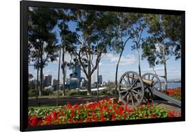 Australia, Perth. Kings Park. Fraser Avenue, Lemon Scented Gum Tree-Cindy Miller Hopkins-Framed Photographic Print