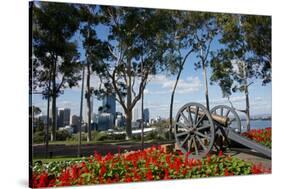 Australia, Perth. Kings Park. Fraser Avenue, Lemon Scented Gum Tree-Cindy Miller Hopkins-Stretched Canvas