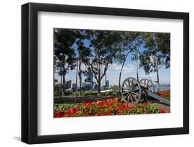 Australia, Perth. Kings Park. Fraser Avenue, Lemon Scented Gum Tree-Cindy Miller Hopkins-Framed Photographic Print