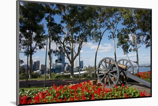 Australia, Perth. Kings Park. Fraser Avenue, Lemon Scented Gum Tree-Cindy Miller Hopkins-Mounted Photographic Print