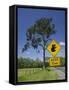 Australia, Queensland, Fraser Coast, Maryborough, Koala Crossing Sign on the Bruce Highway-Walter Bibikow-Framed Stretched Canvas