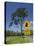 Australia, Queensland, Fraser Coast, Maryborough, Koala Crossing Sign on the Bruce Highway-Walter Bibikow-Stretched Canvas