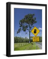 Australia, Queensland, Fraser Coast, Maryborough, Koala Crossing Sign on the Bruce Highway-Walter Bibikow-Framed Photographic Print