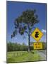 Australia, Queensland, Fraser Coast, Maryborough, Koala Crossing Sign on the Bruce Highway-Walter Bibikow-Mounted Photographic Print