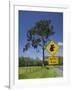 Australia, Queensland, Fraser Coast, Maryborough, Koala Crossing Sign on the Bruce Highway-Walter Bibikow-Framed Photographic Print