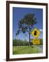 Australia, Queensland, Fraser Coast, Maryborough, Koala Crossing Sign on the Bruce Highway-Walter Bibikow-Framed Photographic Print