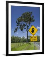 Australia, Queensland, Fraser Coast, Maryborough, Koala Crossing Sign on the Bruce Highway-Walter Bibikow-Framed Photographic Print