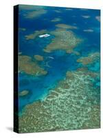 Australia, Queensland, North Coast, Cairns Area, Great Barrier Reef, Aerial View of Moore Reef-Walter Bibikow-Stretched Canvas