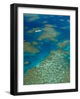 Australia, Queensland, North Coast, Cairns Area, Great Barrier Reef, Aerial View of Moore Reef-Walter Bibikow-Framed Photographic Print