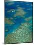 Australia, Queensland, North Coast, Cairns Area, Great Barrier Reef, Aerial View of Moore Reef-Walter Bibikow-Mounted Photographic Print