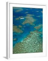 Australia, Queensland, North Coast, Cairns Area, Great Barrier Reef, Aerial View of Moore Reef-Walter Bibikow-Framed Photographic Print