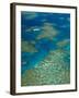 Australia, Queensland, North Coast, Cairns Area, Great Barrier Reef, Aerial View of Moore Reef-Walter Bibikow-Framed Photographic Print